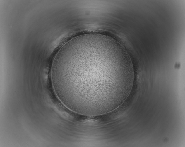 X0000112980691200909031109