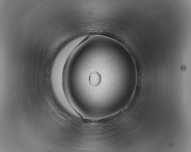 X0000112980692200909031109