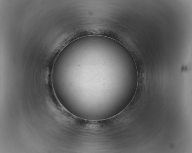 X0000112980694200909031109