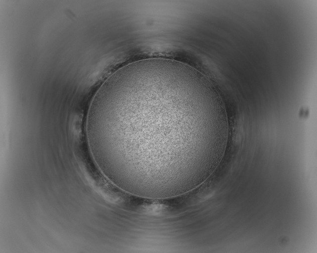 X0000112980695200909031109