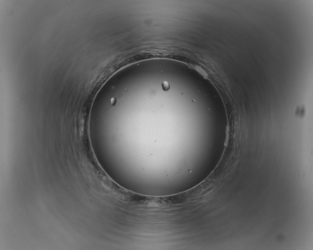 X0000112980697200909031109