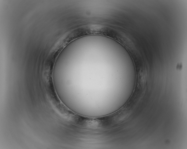 X0000112980698200909031109