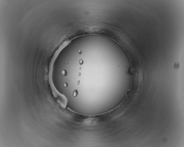 X0000112980700200909031109