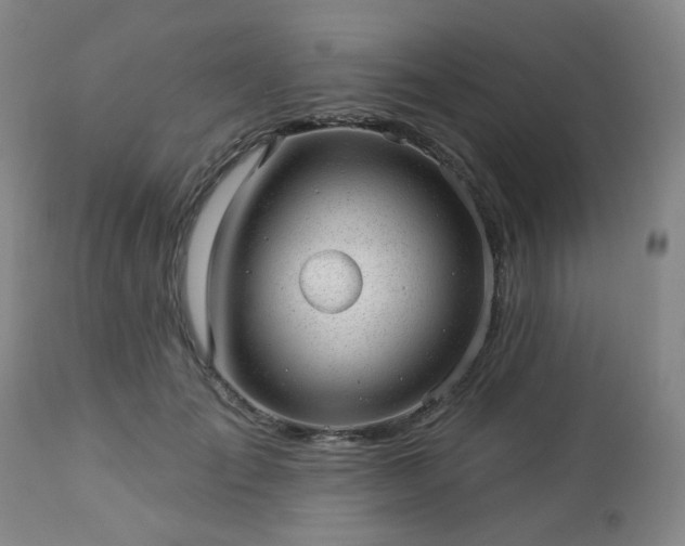 X0000112980701200909031109