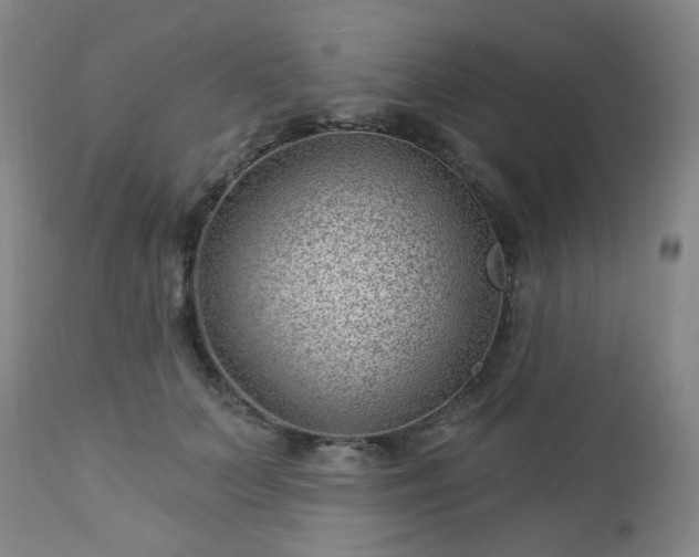 X0000112980703200909031109