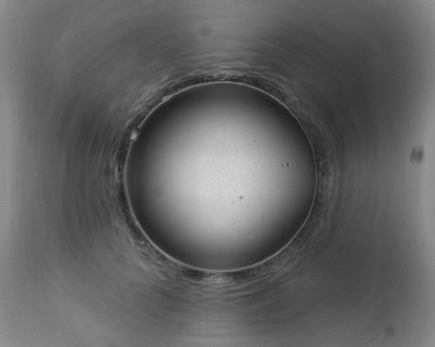 X0000112980704200909031109