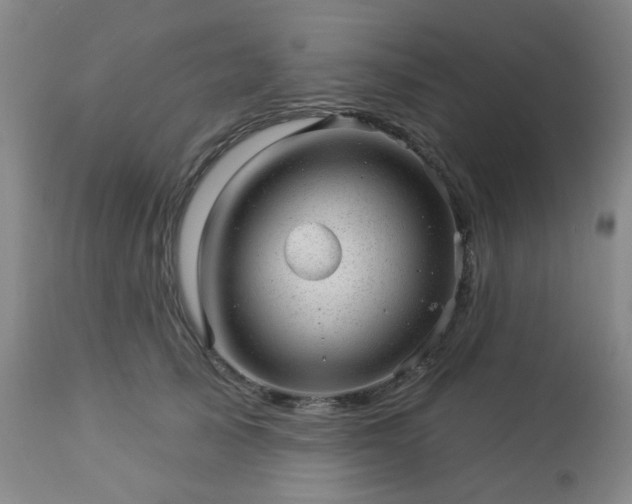 X0000112980705200909031109