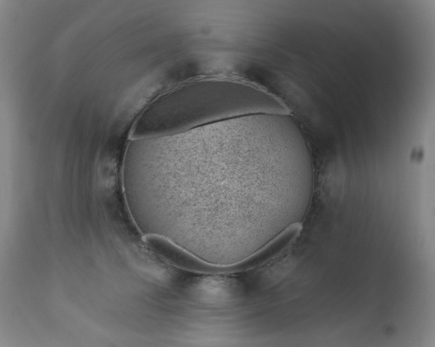 X0000112980708200909031109