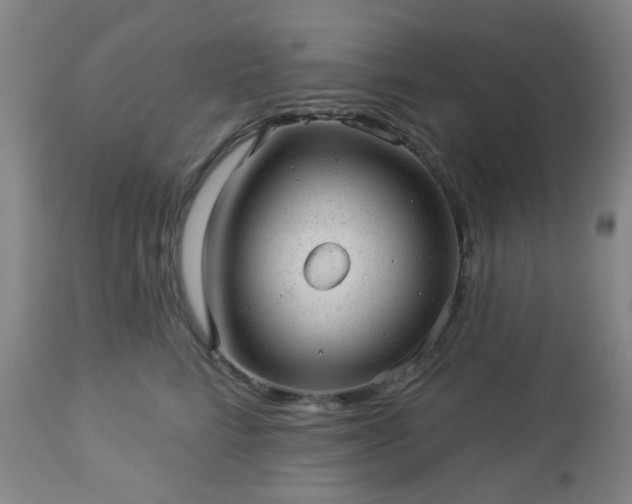 X0000112980712200909031109