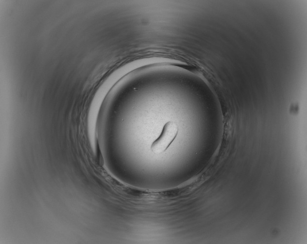 X0000112980713200909031109