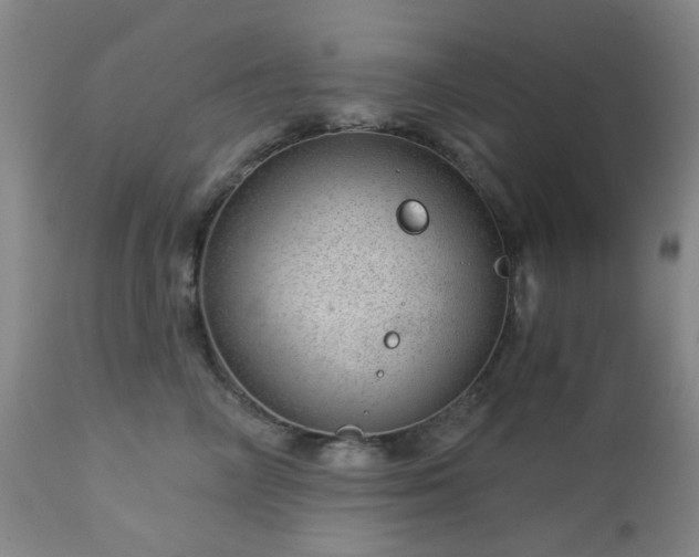 X0000112980714200909031109