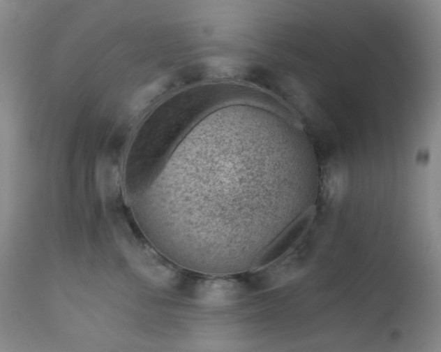 X0000112980716200909031109