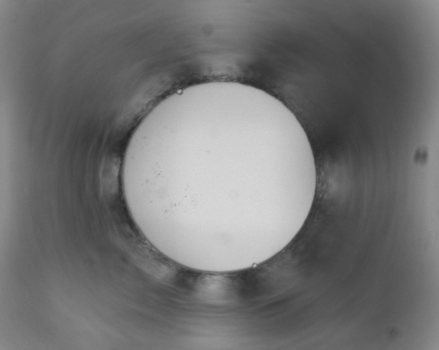 X0000112980717200909031109