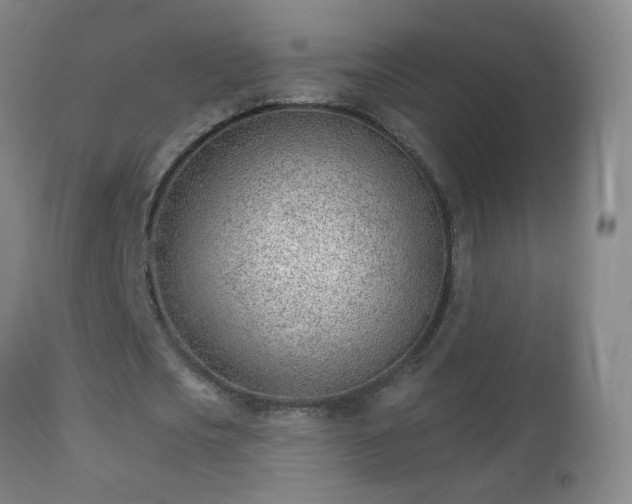 X0000112980721200909031108