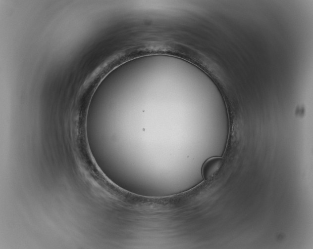 X0000112980722200909031108