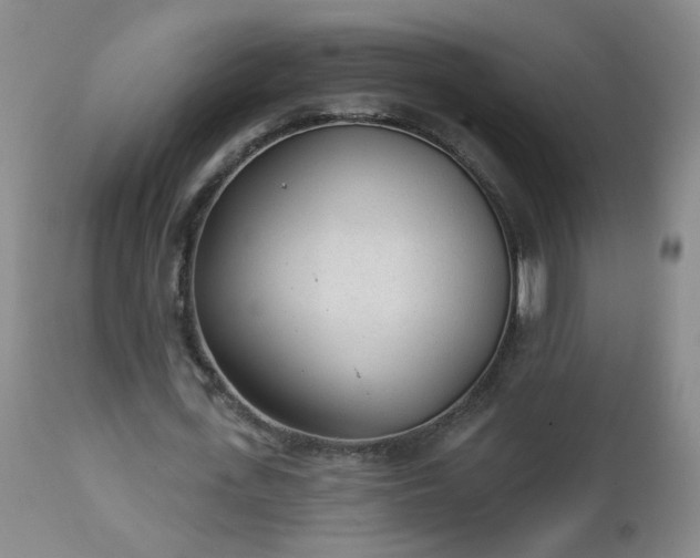 X0000112980723200909031108