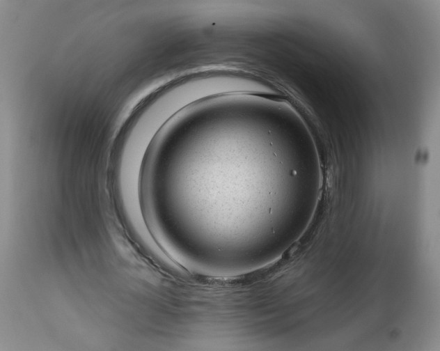 X0000112980724200909031108