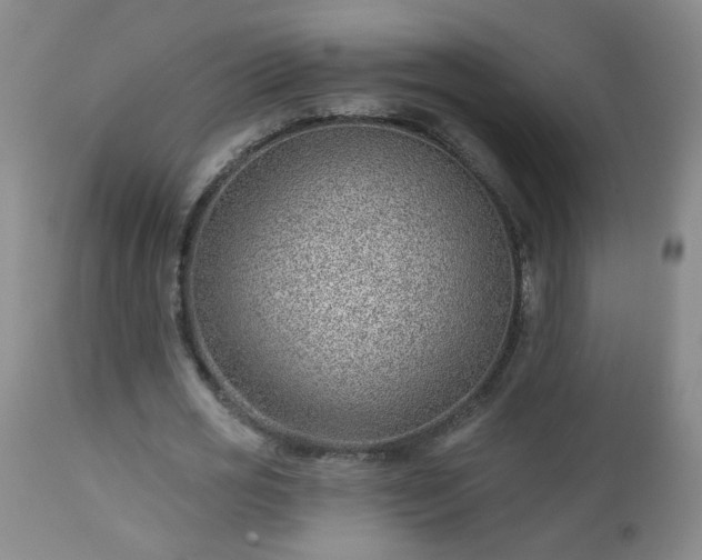 X0000112980725200909031108