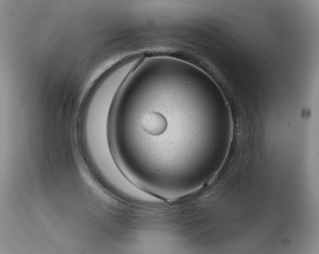 X0000112980726200909031108