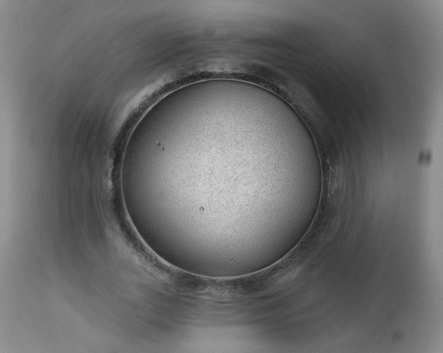 X0000112980727200909031108