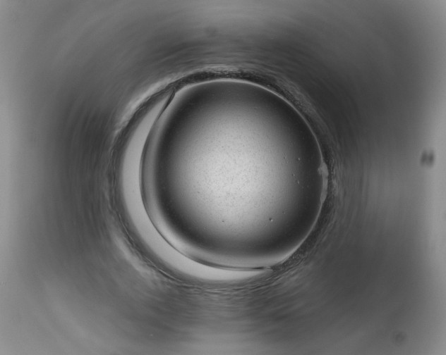 X0000112980728200909031108