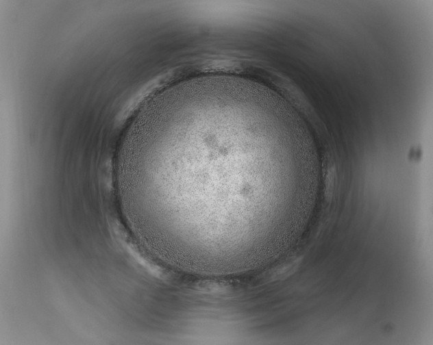 X0000112980729200909031108