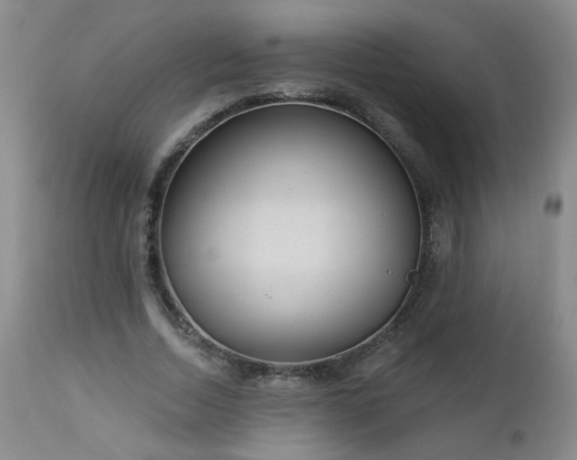 X0000112980730200909031108