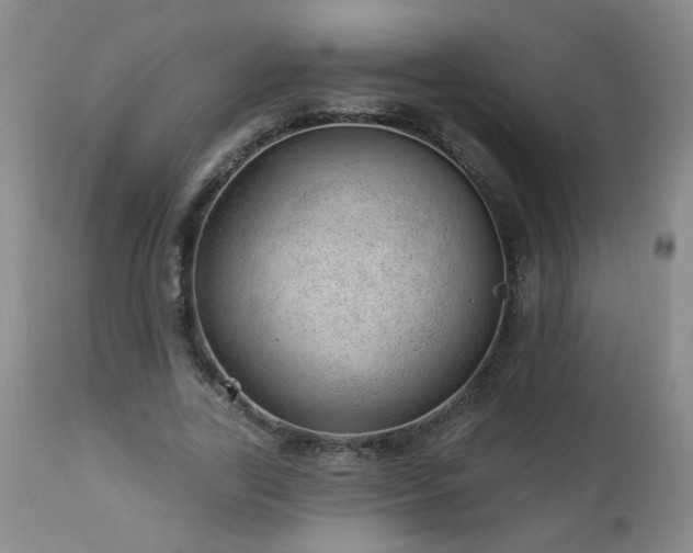 X0000112980731200909031108