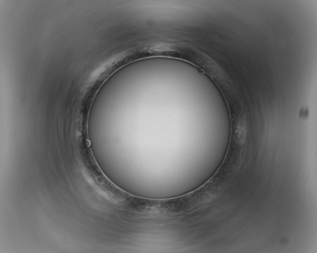 X0000112980732200909031108