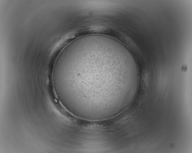 X0000112980734200909031108