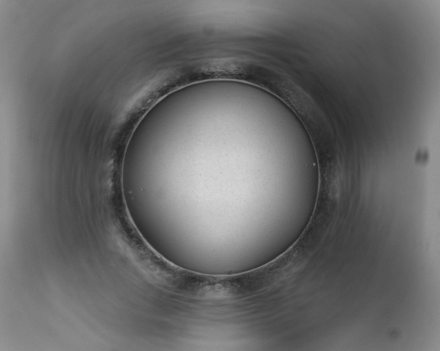 X0000112980735200909031108