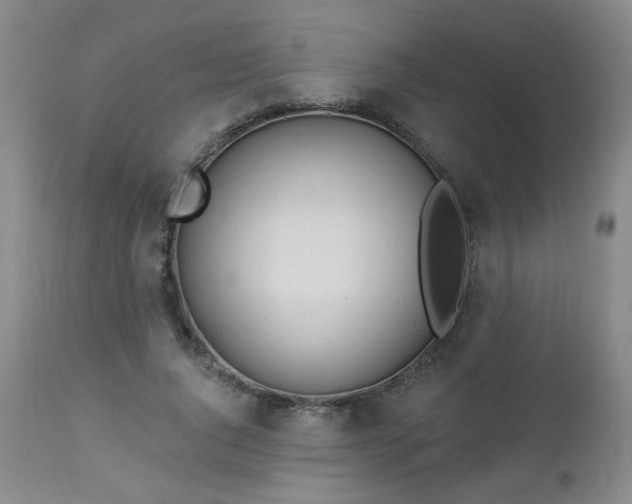 X0000112980736200909031108