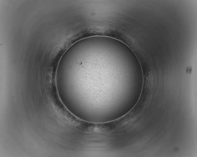 X0000112980739200909031108