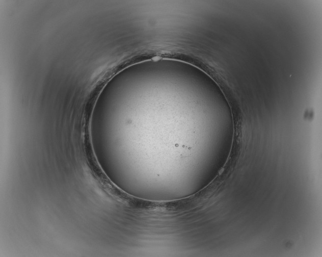 X0000112980740200909031108