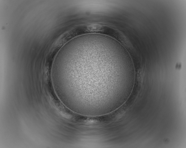 X0000112980741200909031108