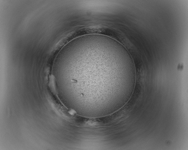 X0000112980742200909031108