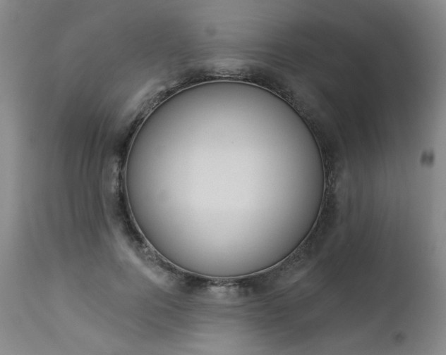 X0000112980744200909031108