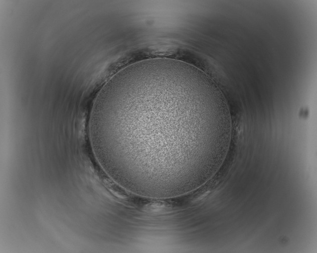 X0000112980745200909031108