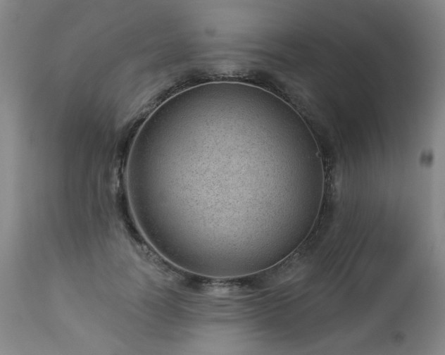 X0000112980746200909031108