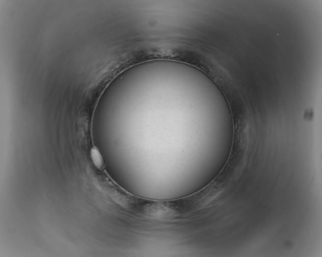 X0000112980747200909031108