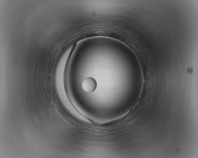 X0000112980748200909031108