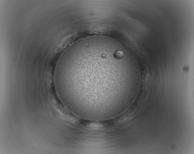 X0000112980749200909031108