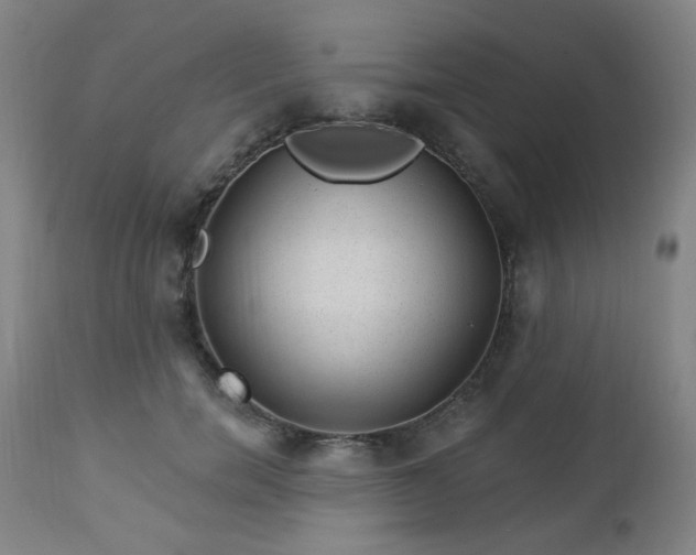 X0000112980750200909031108