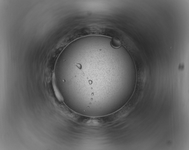 X0000112980751200909031108