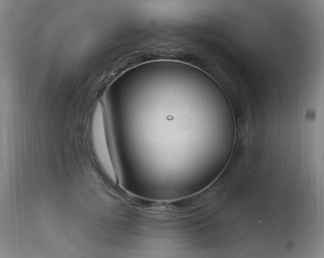 X0000112980752200909031108