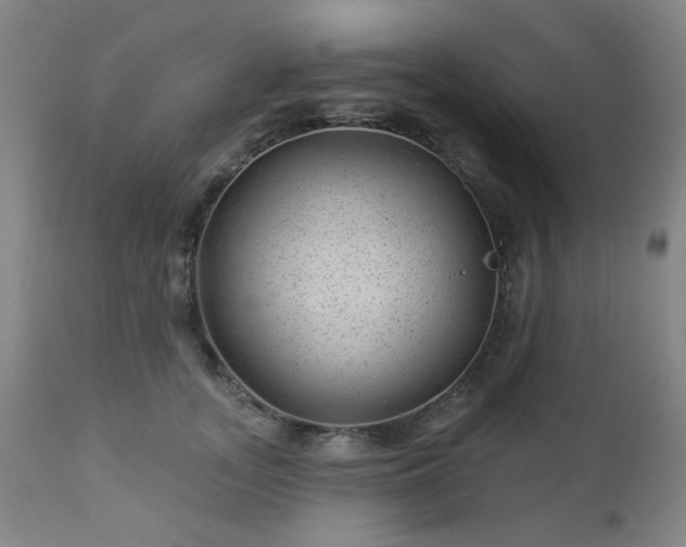 X0000112980755200909031109