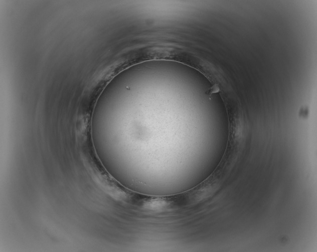 X0000112980759200909031109