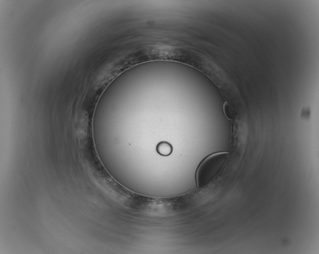 X0000112980760200909031109