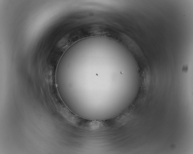 X0000112980762200909031109