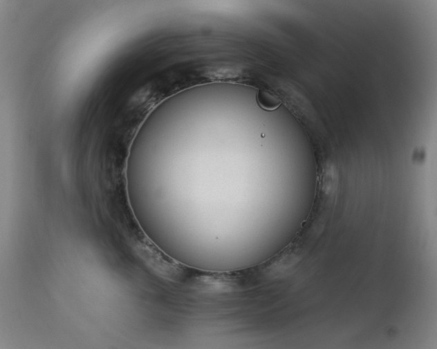 X0000112980763200909031109